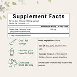 Micro Ingredients Organic Saw Palmetto Powder