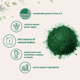 Micro Ingredients Organic Kelp Powder Supplement