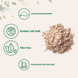 Micro Ingredients Pine Pollen Powder, 6 oz