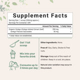 Micro Ingredients Organic Ginkgo Biloba Powder