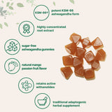 Micro Ingredients KSM-66 Ashwagandha Gummies 300mg, 120 Count