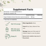 Micro Ingredients Organic Blueberry Extract Powder, 10oz