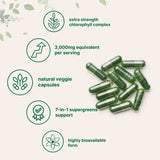 Micro Ingredients Chlorophyll 3,000mg Equivalent, 240 Veggie Capsules
