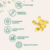 Micro Ingredients Odorless Garlic Softgels