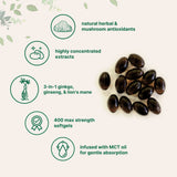 Micro Ingredients Ginkgo Biloba 5,600mg Equivalent, 400 Softgels, 3-in-1 with Ginseng & Lions Mane