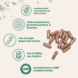 Micro Ingredients Grape Seed Extract, 240 Capsule
