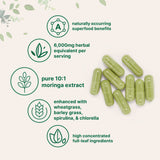 Moringa Oleifera 6,000mg Equivalent, 300 Capsules with Supergreens Blend of Wheatgrass, Barley Grass, Spirulina, & Chlorella