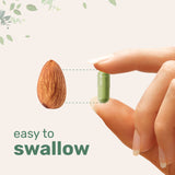 Moringa Oleifera 6,000mg Equivalent, 300 Capsules with Supergreens Blend of Wheatgrass, Barley Grass, Spirulina, & Chlorella