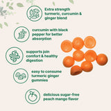 Micro Ingredients Turmeric Ginger Gummies, 120 Count