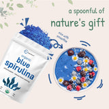 Micro Ingredients Organic Blue Spirulina Powder (Phycocyanin Extract) - No Fishy Smell, 100% Vegan Protein from Blue-Green Algae
