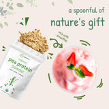 Micro Ingredients Organic Pea Protein Powder