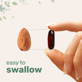 Micro Ingredients Pumpkin Seed Oil with Saw Palmetto, 300 Softgels (2 Pack)