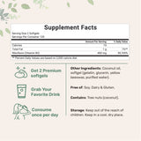 Micro Ingredients Vitamin B2, Riboflavin 400mg, 240 Softgels with Coconut Oil